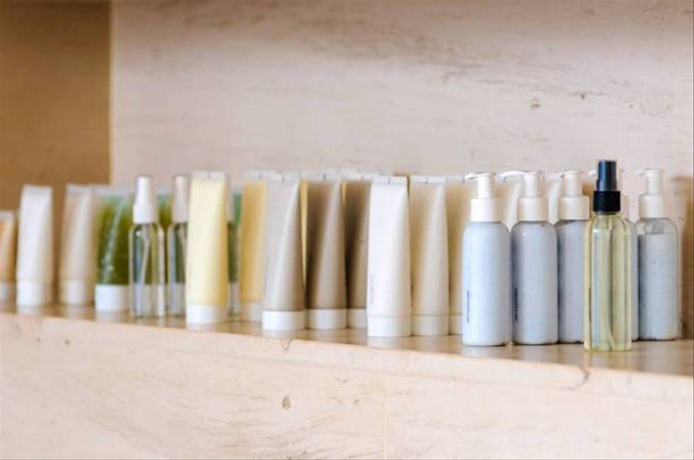 Ilustrasi Centella Asiatica. Foto: Unsplash