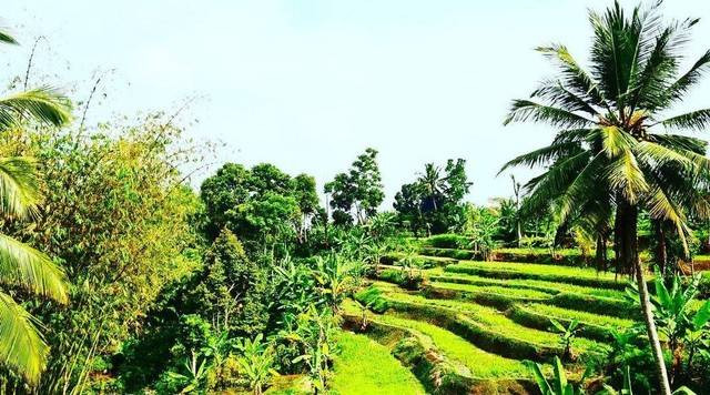 Seharusnya tidak ada kemiskinan di negeri ini. Foto: Dok. penulis @a.saefuddin