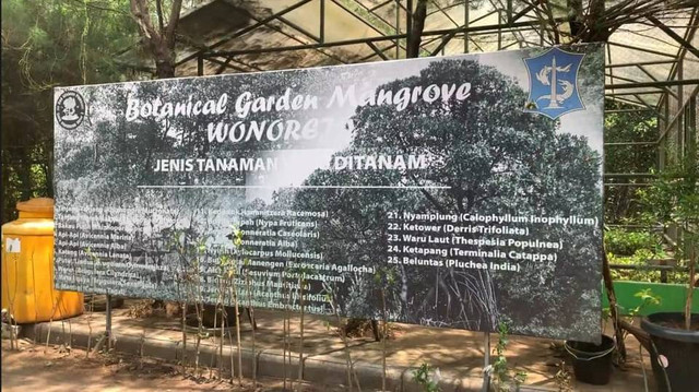 gambar 1 menunjukan pintu masuk Ekowisata mangrove wonorejo surabaya