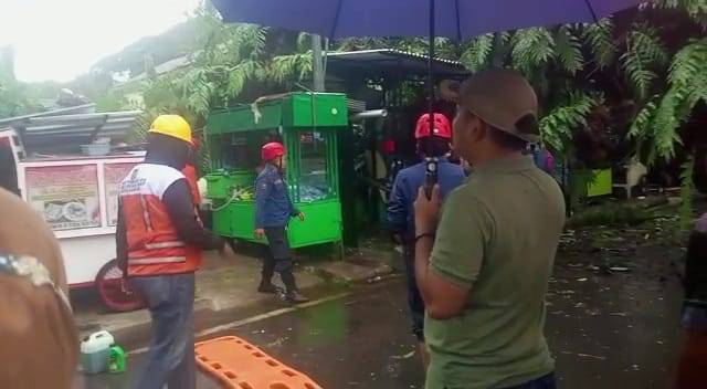 Pohon di Makassar Tumbang ke Kios Bakso, Orang-orang Lagi Makan Ikut Tertimpa