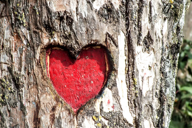 Ilustrasi Kata-kata Cinta dan Romantis. Foto: Unsplash/Chandan Chaurasia.