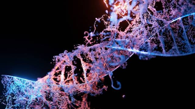 Ilustrasi pembentukan protein sintetis dalam tubuh. Foto: Unsplash/Sangharsh Lohakare