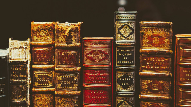 Ilustrasi Ulasan tentang Sumber PKn Secara Historis. Foto: dok. Joanna Kosinska (Unsplash.com)