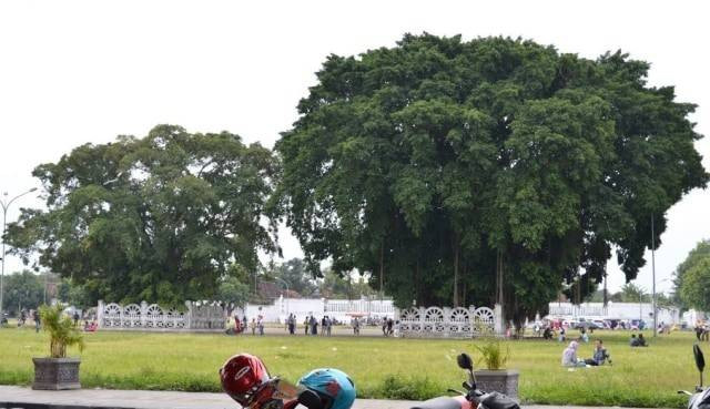 Suasana kawasan Alun-alun Kidul Yogyakarta. Foto: Tugu Jogja