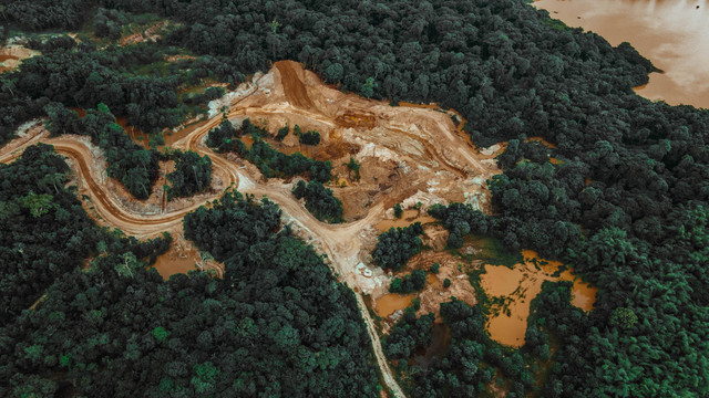 Ilustrasi Deforestasi dan Dampaknya bagi Lingkungan. Foto: dok. Renaldo Matamoro (Unsplash.com)
