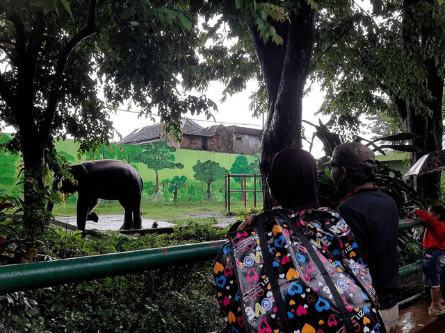 Foto-foto: Amanah Nur Asiah/Basra