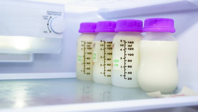 ASI Perah perlu disimpan dengan benar di kulkas untuk menjaga kualitasnya. Foto: Shutterstock