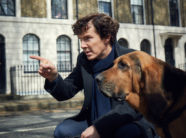 Sherlock dan anjingnya. (Foto: Hartswood Films)