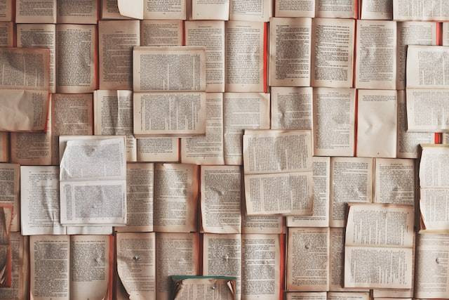 Ilustrasi perbedaan teks editorial dan artikel, sumber foto Patrick Tomasso on Unsplash