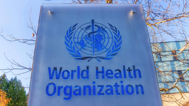 Ilustrasi WHO. Foto: Elenarts/Shutterstock