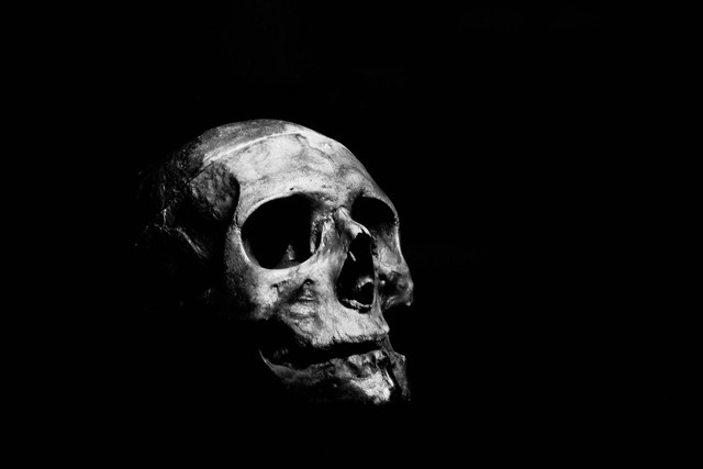 Ilustrasi Ilustrasi Contoh Soal Angka Kematian Kasar. (Foto: Ahmed Adly | Unsplash.com)