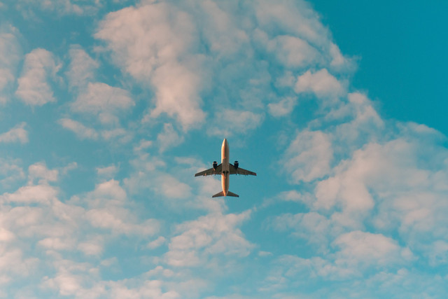 Ilustrasi Bahaya Main HP di Pesawat. Foto: Unsplash/Philip Myrtorp.