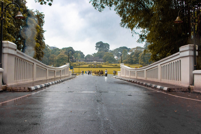 Cara ke Kebun Raya Bogor Naik Kereta, Foto Hanya Ilustrasi: Unsplash/Rafael Atantya
