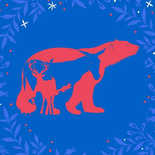 Ilustrasi hewan tersembunyi. Foto: Jackpotjoy