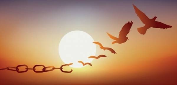 Burung kebebasan, sumber :https://www.shutterstock.com/id/image-vector/concept-liberty-found-chains-breaking-turning-1352447618