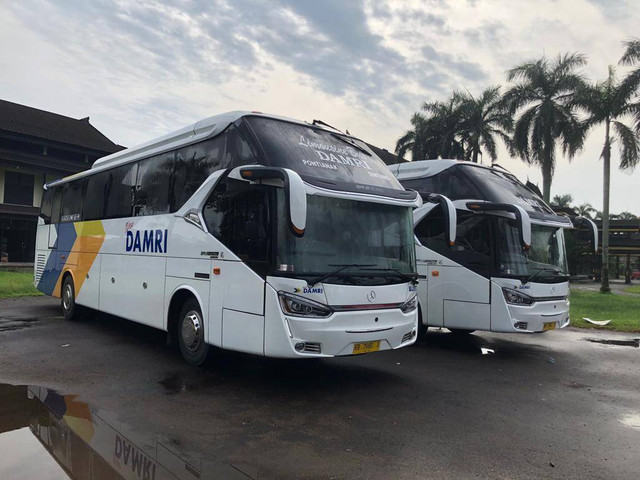 Ilustrasi bus Damri. Foto: dok. DAMRI