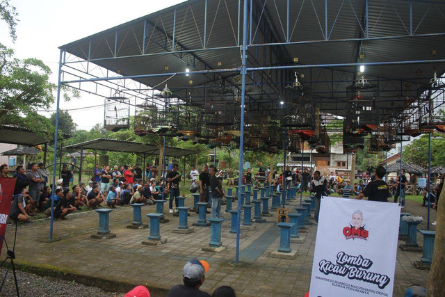 Gelaran lomba Kicau Burung yang digelar Sukarelawan Orang Muda Ganjar (OMG) Yogyakarta di Sembego, Maguwoharjo, Kecamatan Depok, Kabupaten Sleman, Kamis (19/1). Foto: Dok. Istimewa