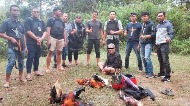 Polisi gerebek arena judi sabung ayam di Dusun Salubue, Mamasa. Foto: Istimewa