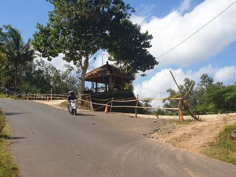 Kawasan hutan pinus Mangunan Bantul. Foto: Tugu Jogja