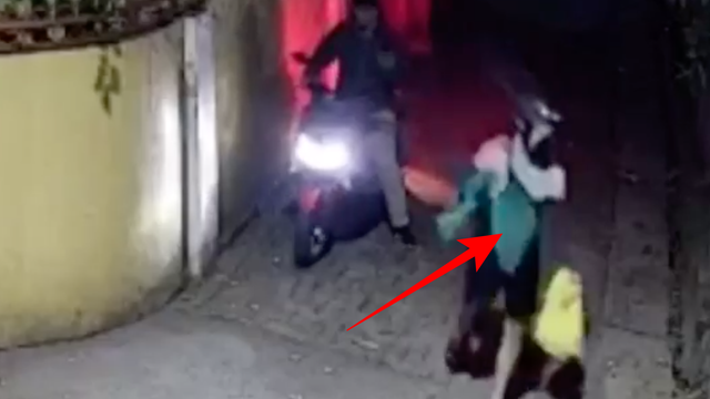 CCTV pelemparan ular kobra. Dok: Istimewa.