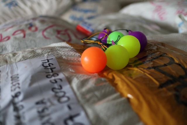 785 kilogram lato-lato Sumbar diekspor ke Malaysia. Dok. KPPBC Teluk Bayur.