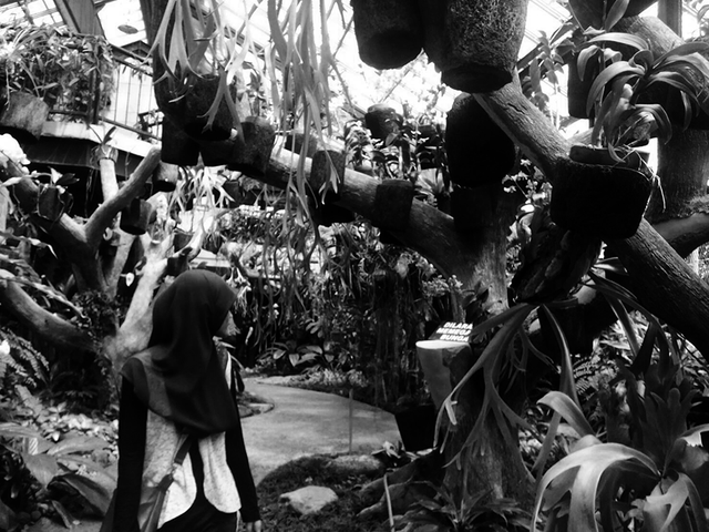 Ilustrasi gadis cantik. Foto: dokumentasi pribadi