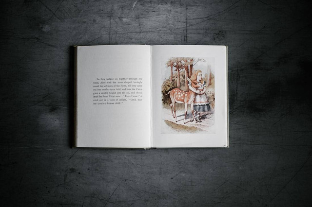 Ilustrasi Langkah Awal Membuat Gambar Suatu Cerita Foto:Unsplash