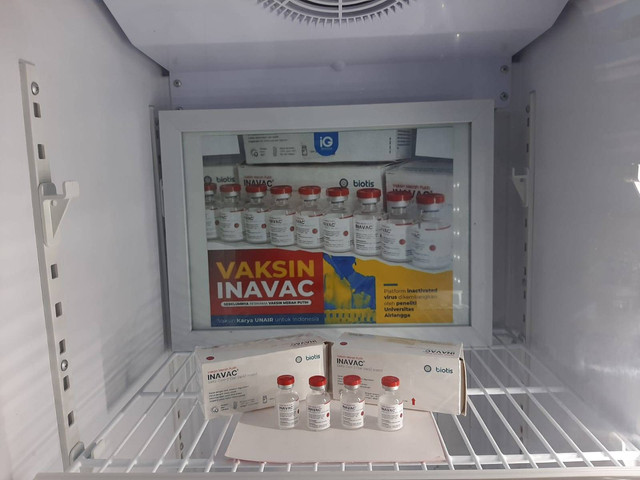 Vaksin Merah Putih atau vaksin Inavac buatan Unair. Foto: Amanah Nur Asiah/Basra
