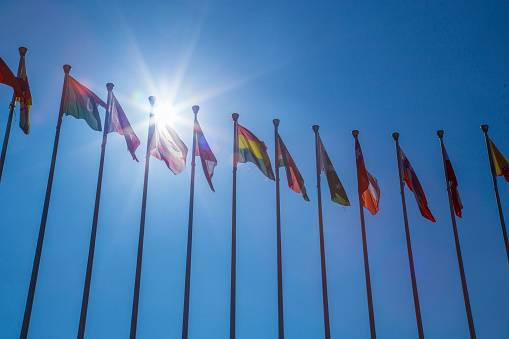 Bogor Declaration: Peran Serta Indonesia dalam APEC Foto:Unsplash