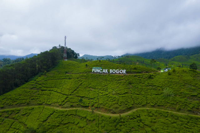 Tempat Wisata di Puncak untuk Keluarga, Foto Hanya Ilustrasi: Unsplash/Ammar Andiko