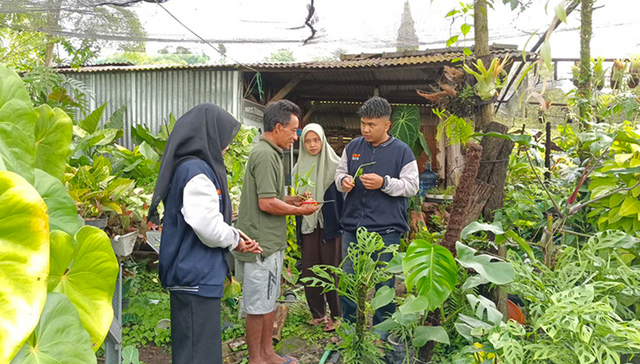 wawancara dengan pelaku UMKM tanaman hias