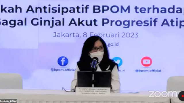 Plt Deputi Bidang Pengawasan Obat Narkotika, Psikotropika BPOM, Togi Junice Hutadjulu. Foto: Dok. Istimewa