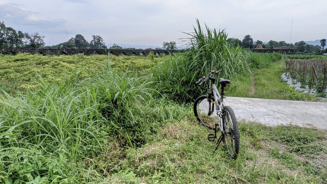 Benteng Jolontoro, salah satu destinasi "Jelajah Sejarah" dengan rute terpendek (4 Februari 2022) (Sumber: Dokumentasi pribadi)