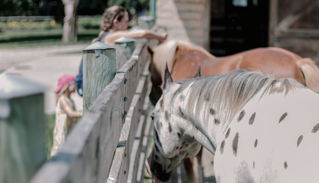 tempat liburan di jogja/gambar hanya ilustrasi. sumber foto : unsplash/sean.