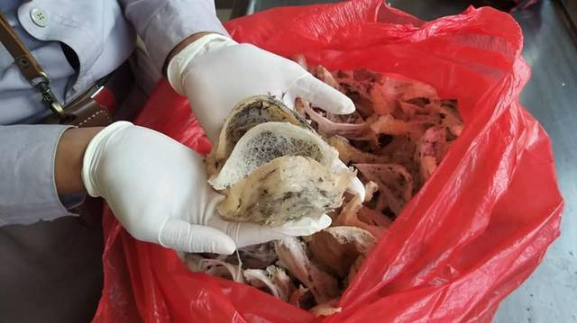 Sarang burung walet. Foto: Karantina Pertanian Mamuju, Sulawesi Barat