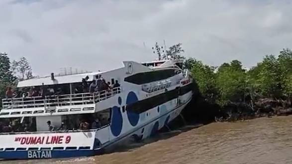 MV Dumai Line 9 yang nabrak hutan bakau. Foto: Istimewa