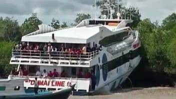 MV Dumai Line 9 nabrak hutan bakau. Foto: Istimewa