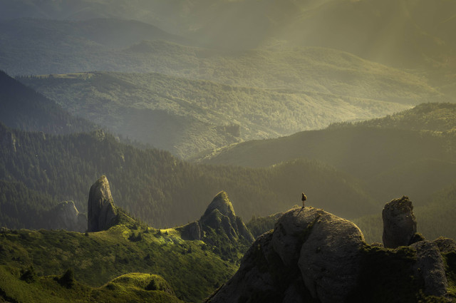   Kata-Kata Alam Singkat Penuh Makna, Foto Unsplash/David Marcu