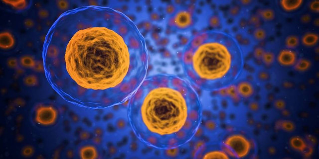https://pixabay.com/id/users/qimono-1962238/ - unsur terbanyak yang terdapat pada protoplasma antara lain