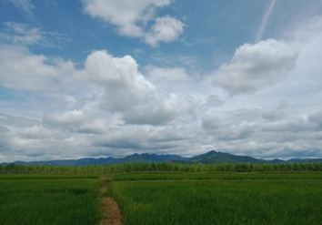 Foto: Persawahan, perkebunan tebu dan pegunungan di Jeneponto (Doc. Penulis, 2023)