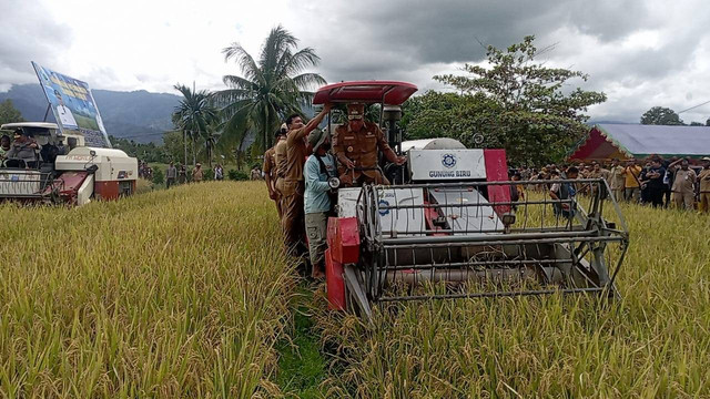 Pj Gubernur Papua Barat melakukan panen raya di Kampung Desai Distrik Prafi, Manokwari