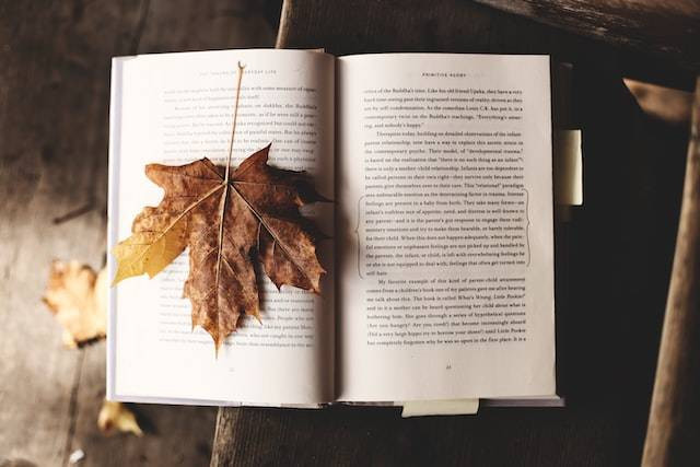Dongeng Sunda Si Kabayan. Sumber: unsplash.com