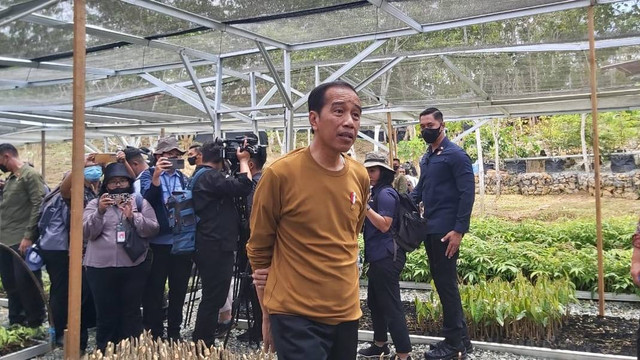 Presiden Jokowi meninjau Persemaian Mentawir, di Sepaku, Kabupaten Penajam Paser Utara, Kalimantan Timur, Kamis (23/2/2023). Foto: Nadia Riso/kumparan