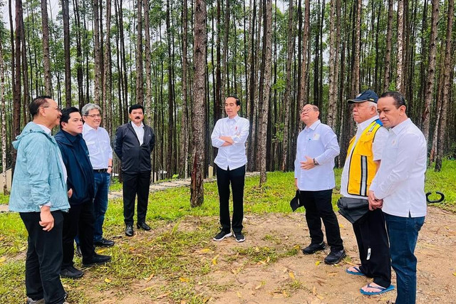 Presiden Jokowi menikmati suasana pagi di IKN Nusantara, Jumat (24/2/2023).  Foto: Laily Rachev/Biro Pers Sekretariat Presiden