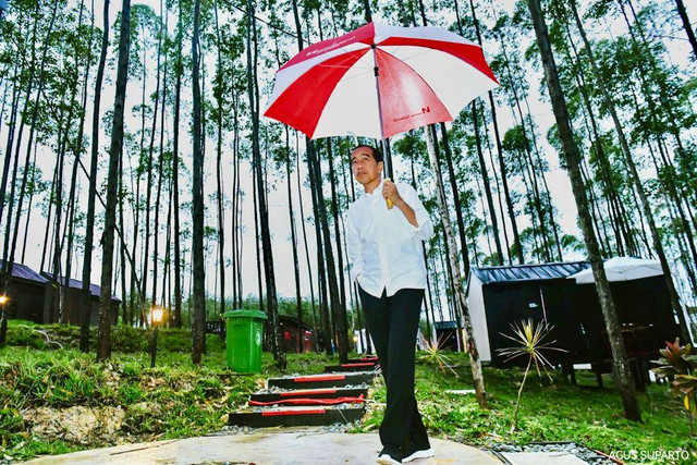 Presiden Jokowi menikmati suasana pagi di IKN Nusantara, Jumat (24/2/2023).
Foto: Dok. Agus Suparto