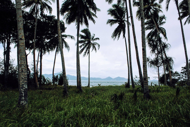 illustrasi tari loliyana berasal dari Maluku. sumber: unsplash.com/kaja sariwating