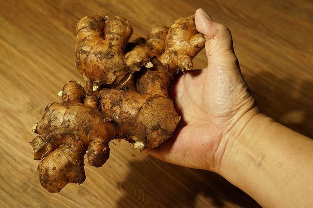 Ilustrasi cara menanam jahe. Foto: Pixabay