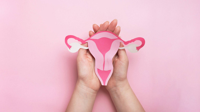 Ilustrasi Periode siklus menstruasi. Foto: Helena Nechaeva/Shutterstock