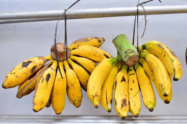 Macam Macam Pisang. Foto: Shutterstock