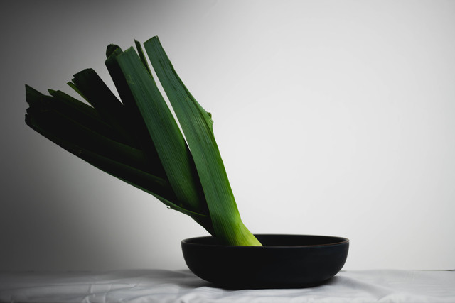 Ilustrasi Cara Menanam Daun Bawang yang Mudah Dilakukan. Sumber: Unsplash